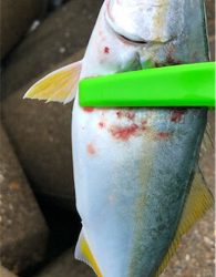 自己新記録達成