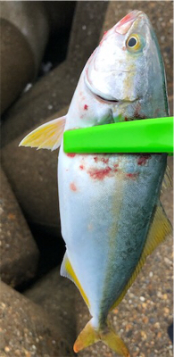 自己新記録達成