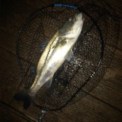 ナイトだけ？少しマシなサイズ