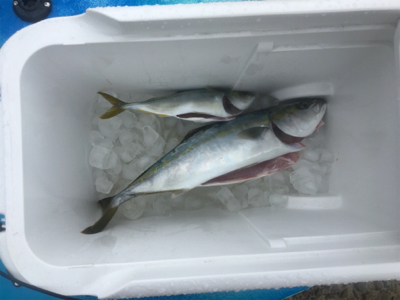 讃岐でカヤックフィッシング!