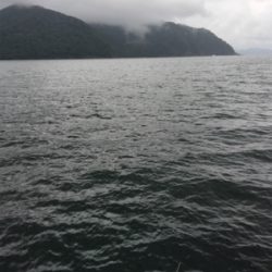 アジの唐揚げが食べたくて