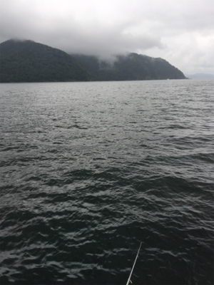 アジの唐揚げが食べたくて