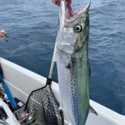 マイボート祝日釣行