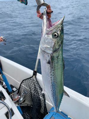 マイボート祝日釣行