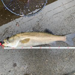 梅雨の中休みに!