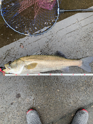 梅雨の中休みに!