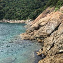 エギング→ジギング