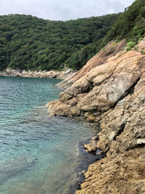 エギング→ジギング