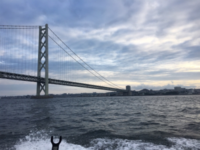 明石でタコ釣り