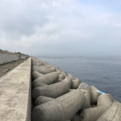 ツバスサイズいろいろ