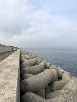 ツバスサイズいろいろ