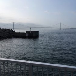 朝まずめアジング