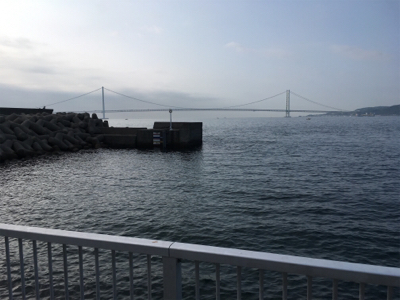 朝まずめアジング