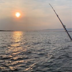 一年ぶりの、たこ!