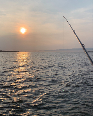 一年ぶりの、たこ!