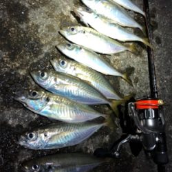 なんとか2桁アジング