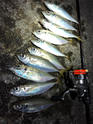 なんとか2桁アジング