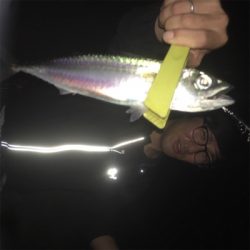 みんな大好き剣先イカ☆GUNNING-STYLE