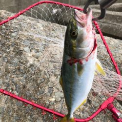 レンジって大事❗️