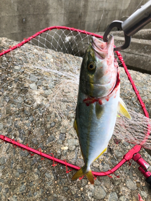 レンジって大事❗࿠…