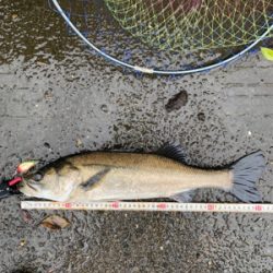 魚が掛かった途端に…