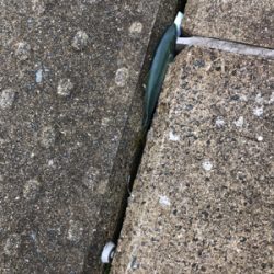 チャンスはつかめずツバスは大漁