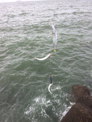 雨の中でもツバス