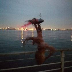 タコ→シーバス→タコ