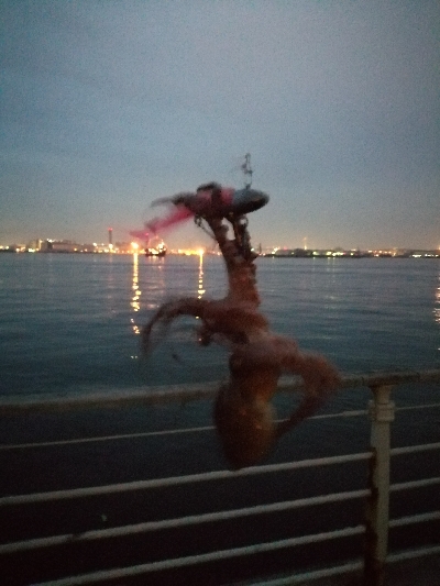 タコ→シーバス→タコ