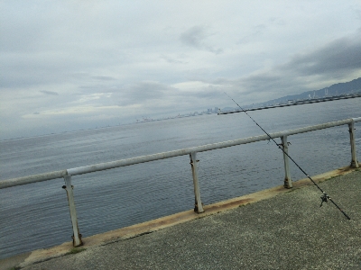 もれなくツバス