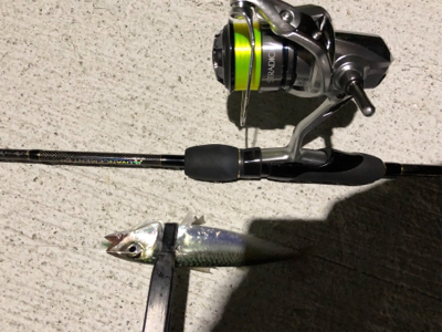 アジング アジング 楽しいな