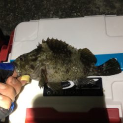 風が微妙(苦笑)