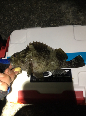 風が微妙(苦笑)