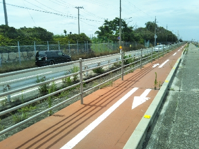 次はサヨリです!