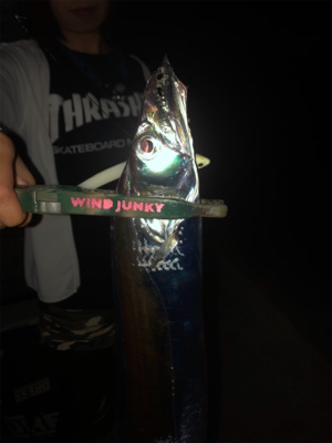 タチウオ求めて