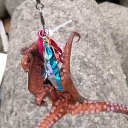 オクトパッシング