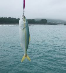 五目釣りならず…