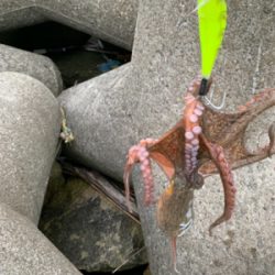 とうとう、爆ったよ！