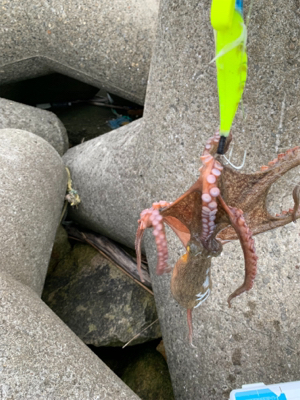 とうとう、爆ったよ！