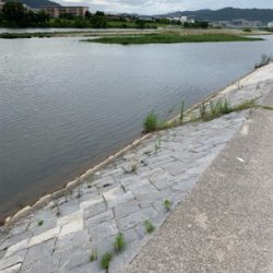 夕まづめにナマズゲーム