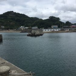 サバ&豆アジ(ちょいおっき目)