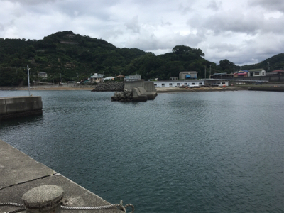 サバ&豆アジ(ちょいおっき目)