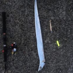 厳しい中での貴重な釣果