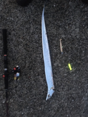 厳しい中での貴重な釣果