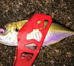 アジンガー1900〜2145