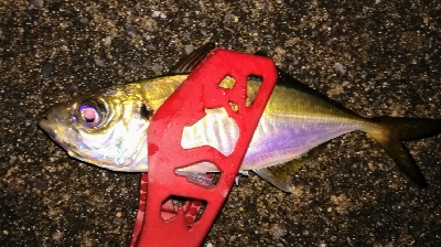 アジンガー1900〜2145