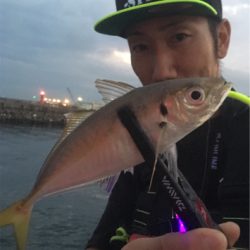 夕まずめアジングゲーム☆GUNNING-STYLE