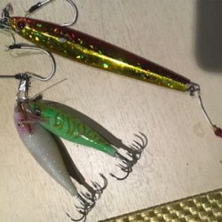 ビックファイター釣行 ジギング タコ便