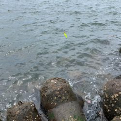 賑やか海から、一転して。