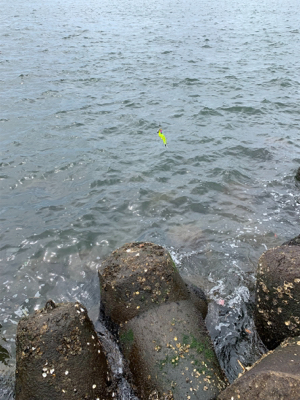 賑やか海から、一転して。